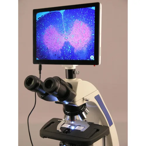 Miniatura 2 de AmScope - Microscopio compuesto de laboratorio infinito 40X-1000X con pantalla táctil LCD - T720Q-TP