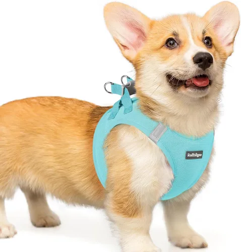 Miniatura 17 de rabbitgoo Arnés para perro pequeño, chaleco de malla suave para cachorros con hebilla de seguridad, arnés reflectante transpirable para mascotas