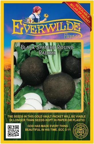 Miniatura 4 de Everwilde Farms - Semillas de rábano redondo español negro de 1 onza - Gold Vault