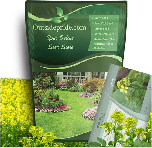 Miniatura 9 de Outsidepride Semillas de mostaza blanca para plantar, semillas de cultivo de cobertura anual de 5 libras con sistema de raíces profundas, forraje