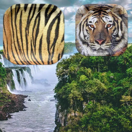 Miniatura 5 de Havercamp Paquete de fiesta temática de tigre para 24 invitados. Suministros de tigre fotorealistas para un buen cumpleaños, fútbol o cualquier