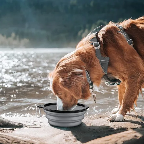 Miniatura 2 de COOYOO Cuenco plegable para perros, paquete de 2 cuencos plegables para agua para perros y gatos, plato portátil para alimentación de mascotas