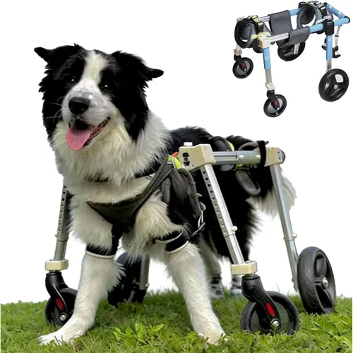 Dog Wheelchair for Back/Front Legs，Adjustable Pet Mobility Cart, All-Aviation Aluminum Frame ，4 Shock-Absorbing Wheels，Comfortable Harness for Small