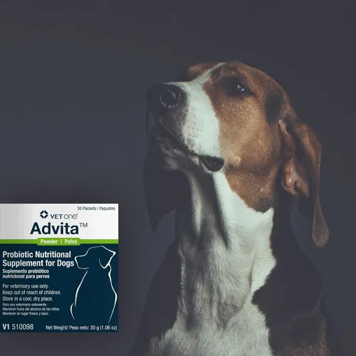 Miniatura 4 de Vet One Polvo probiótico Advita™ para perros, un suplemento nutricional diario para mantener el sistema inmunológico, el apetito y la digestión