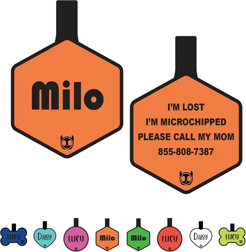Miniatura 27 de Etiqueta de gato silenciosa de silicona personalizada con 5 líneas de grabado profundo personalizado duradero, etiqueta de identificación de mascota