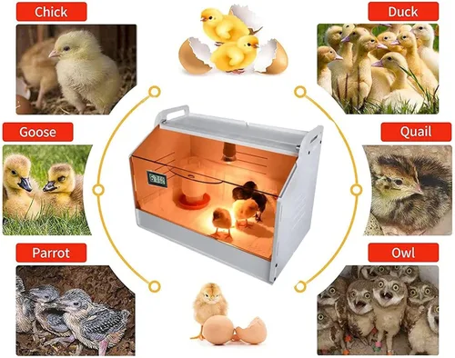 Miniatura 4 de Caja caliente inteligente para criadores, 10-30 pollitos y animales pequeños, incubadora manual, calentador de gallinero, jaula de criador