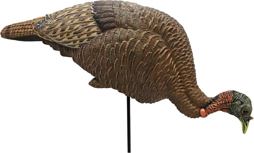 Miniatura 3 de MOJO Outdoors Turkey Hunting Decoys and Accessories