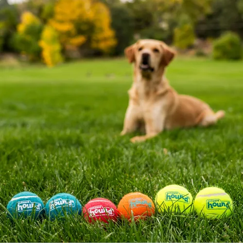 Miniatura 5 de Outward Hound Squeaker Ballz - Pelotas de tenis chirriantes para perros de menos de 50 libras, juguete interactivo para perros para buscar y Bolas