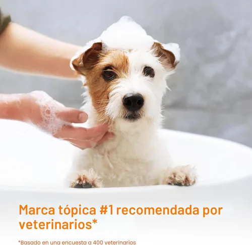 Miniatura 3 de Douxo S3 PYO Champú de clorhexidina para perros, champú medicado antibacteriano y antiséptico, tratamiento de infección por levaduras para perros