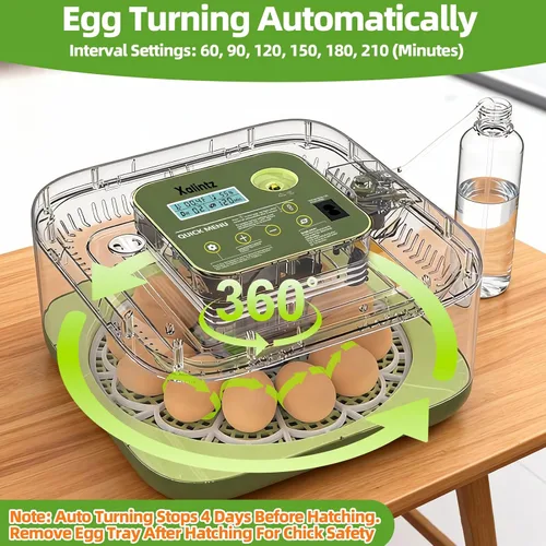Miniatura 6 de Incubadora automática de 12 huevos – Pantalla digital de temperatura/humedad, cuenta regresiva del día de escotilla, girador automático de huevos