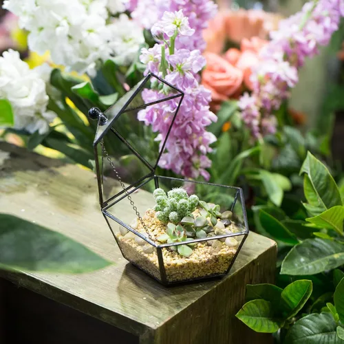 Miniatura 6 de NCYP Terrario geométrico de vidrio pequeño, contenedor cerrado en caja de joyas, maceta para suculentas, decoración de jardín para interiores