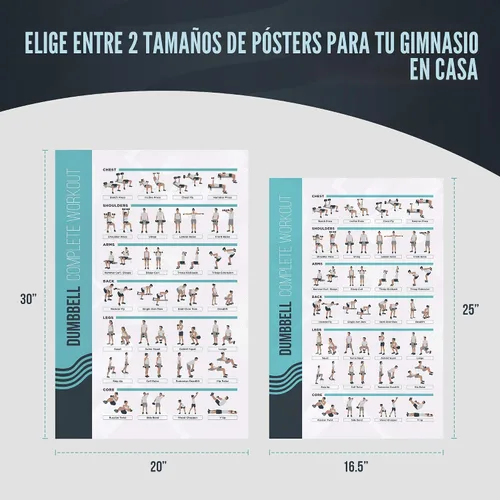Miniatura 6 de FitMate - Póster de ejercicio con mancuernas, rutina de entrenamiento con pesas libres, decoración de gimnasio en casa, guía de habitación