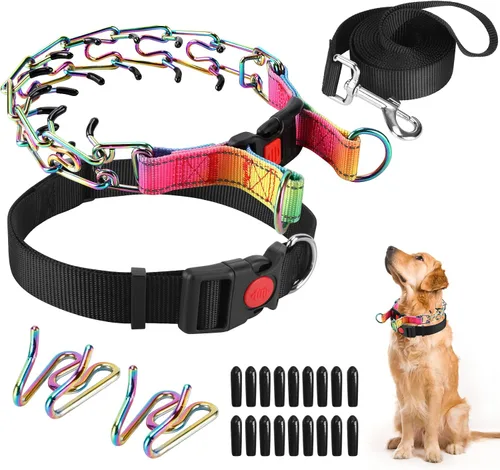 Miniatura 12 de Collar de entrenamiento de puntas con puntas cómodas y hebilla de cierre rápido – Collar de pellizco para perro con cubierta de nailon