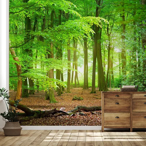 Miniatura 224 de SIGNFORD - Papel tapiz de diseño de bosque, removible para dormitorio o sala de estar, 100 x 144 pulgadas Bosque1-1911-m17