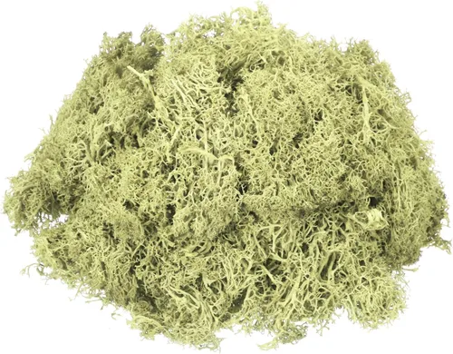 Miniatura 18 de MECCANIXITY Musgo de reno preservado de 4.6 onzas, musgo artificial decorativo gris para plantas en maceta, manualidades de interiores, centros