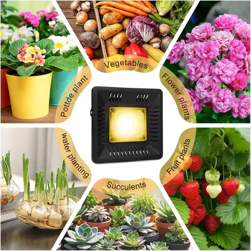 Miniatura 7 de Luz LED de crecimiento impermeable de 100 W de espectro completo, luz LED COB blanca de 3500 K, disipación de calor natural sin ruido, adecuada