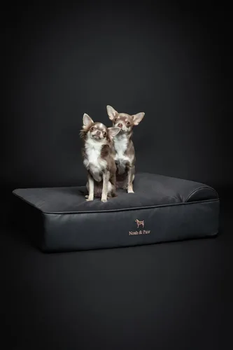 Miniatura 3 de NOAH & PAW Cama para perro, 28x23x7.5 pulgadas, camas ortopédicas para perros de tamaño mediano, espuma viscoelástica tipo cáscara de huevo Cuero
