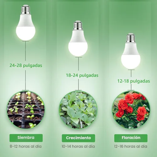 Miniatura 7 de Bombillas de cultivo Briignite LED A19, bombilla de crecimiento de espectro completo, base E26, bombilla de cultivo de 11 W, equivalente a 100 W