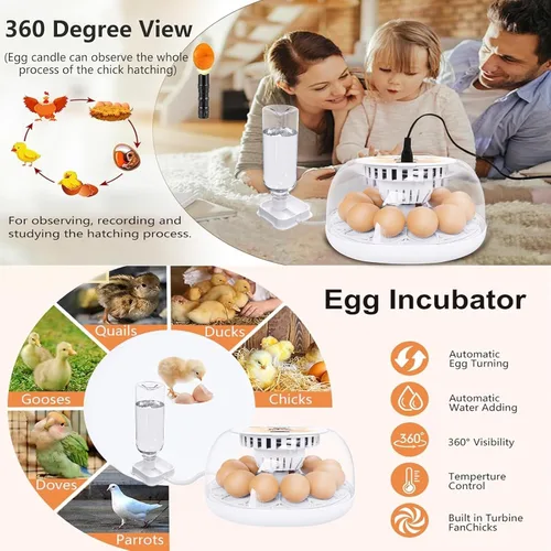 Miniatura 6 de Incubadoras para incubar huevos, incubadora de 12 huevos con giro automático y control de temperatura, adición automática de agua, candelero LED