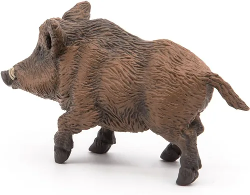Miniatura 8 de Papo - Figura realista de jabalí para niños - A partir de 3 años - Colección Wild Life - Juego educativo Descubrimiento de animales del bosque