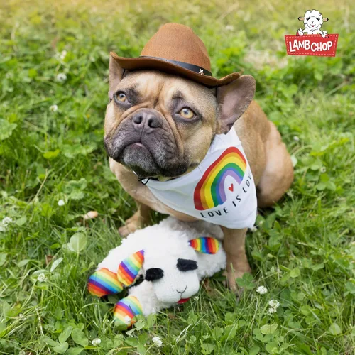 Miniatura 8 de Multipet Lamb Chop Juguete de Peluche para Perros - Juguete Chirriante para Todos los Perros - Peluche Extra Suave - Animal de Peluche