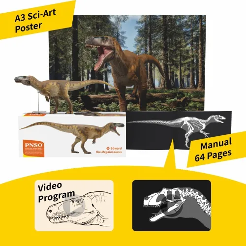 Miniatura 6 de 74 Megalosaurus Edward Teratosaurus Figura Modelo de dinosaurio animal prehistórico