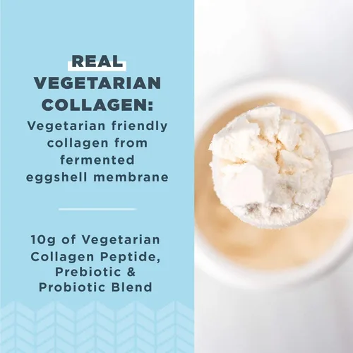 Miniatura 2 de Ancient Nutrition Péptidos de colágeno vegetarianos, péptidos de colágeno en polvo, polvo de colágeno con sabor natural, prebióticos y probióticos