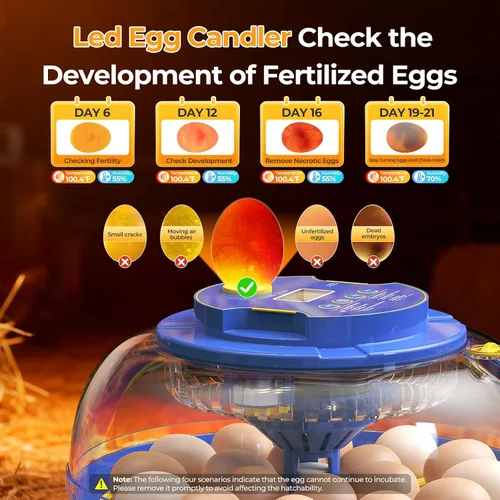 Miniatura 6 de 18 incubadoras de huevos para incubar huevos, vista de 360° con volteo automático de huevos y control de humedad, ovoscopio integrado para incubar