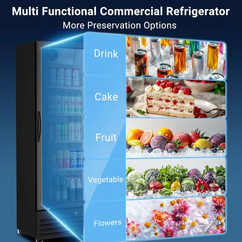 Miniatura 5 de BODEGA BODEGACOOLER - Refrigerador comercial de bebidas de 9 pies cúbicos con puerta de cristal, refrigeradores de bebidas para exhibición