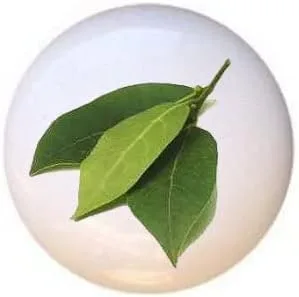 Miniatura 5 de Hierbas Especias Cocina Cocina Cocinar Hornear Hornear Decorativo Cerámica Cajón Tiradores Armario Perillas (pimienta de Jamaica)