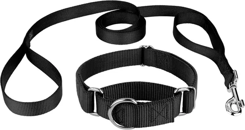Miniatura 4 de Country Brook Design - Collar de perro de nailon Martingale y correa de doble asa-Negro-S