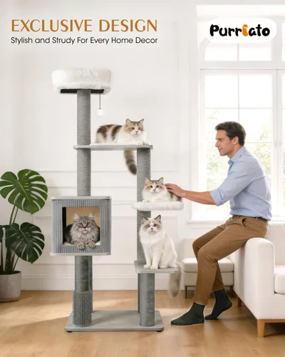 Miniatura 7 de Maine Coon - Árbol para gatos grandes, torre moderna de árbol para gatos con plataformas de felpa, árboles resistentes para gatos