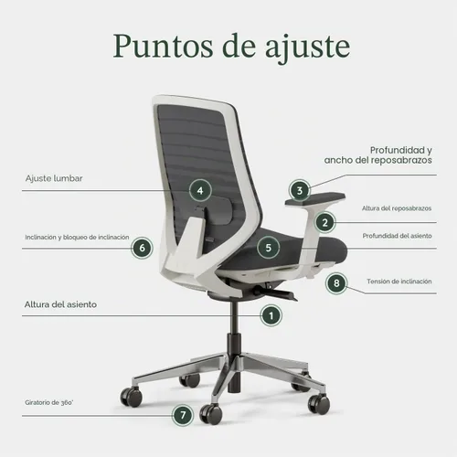 Miniatura 4 de Silla ergonómica Branch - Una silla de escritorio versátil con soporte lumbar ajustable, respaldo de malla transpirable y ruedas suaves - Grafito