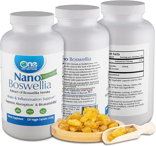 One Planet Nutrition Nano Boswellia - Cápsulas vegetales de 250 mg (120 porciones), resina Boswellia serrata, apoya la función cognitiva para la