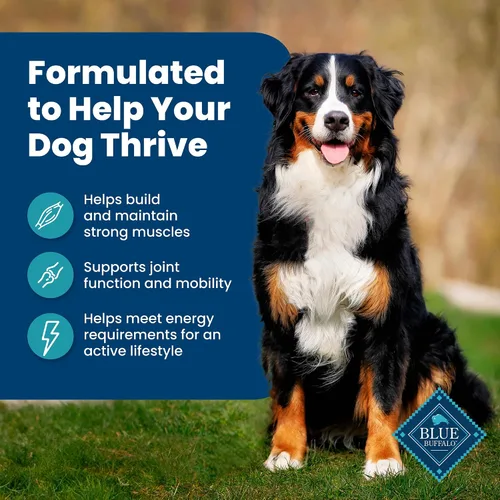 Miniatura 4 de Blue Buffalo Life Protection Formula - Alimento seco para perros adultos, ayuda a construir y mantener músculos fuertes, hecho con ingredientes