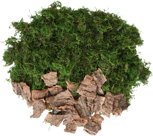 Miniatura 3 de BYHER Musgo Falso para Manualidades, Accesorios Surtidos de Corteza de Árbol para Jardín de Hadas, Musgo Verde para Decorar, Corteza de Árbol