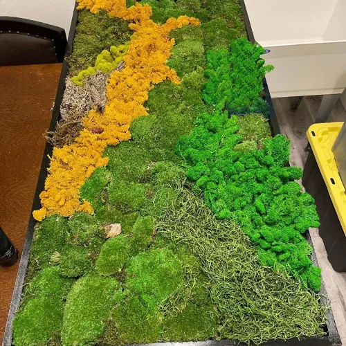 Miniatura 5 de XGNG Plantas de musgo preservado de 3.53 onzas de musgo de reno rosa, decoración de musgo, musgo verde para manualidades, musgo para plantas