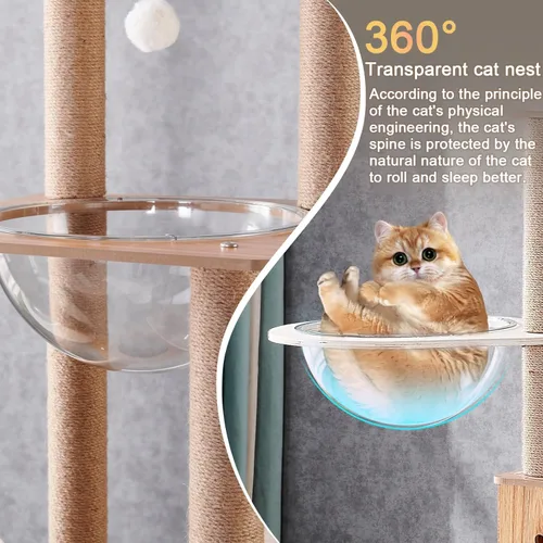 Miniatura 6 de Árbol de madera para gatos de 61 pulgadas con condominio para gatos, postes rascadores de escaleras para gatos, 2 cuencos, postes rascadores