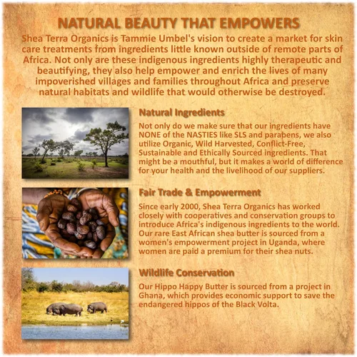 Miniatura 6 de Shea Terra Organics Aceite de ricino negro egipcio para el crecimiento del cabello, argán y alma, tratamiento natural para el cabello, 8 onzas