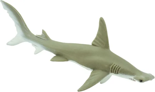Miniatura 7 de Safari Ltd. Figura de tiburón Hammerhead – Figura detallada de plástico de 6.5 pulgadas – Divertido juguete educativo para niños, niñas y niños a