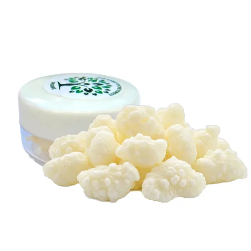 Granos vivos de kéfir de leche - Live Active Starter Cultures Scoby para bebida probiótica casera para almendras, kéfir de coco o leche entera -