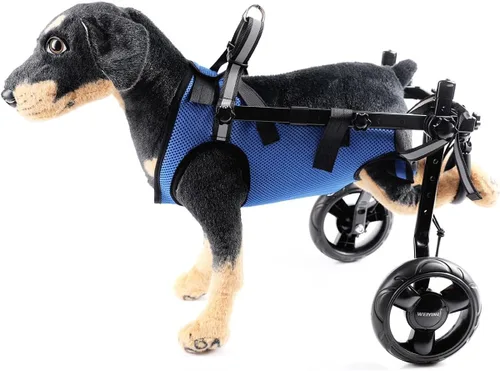 Silla de ruedas para perros para patas traseras, carrito para perros, ayuda para la movilidad para mascotas pequeñas, con ruedas, ajustable (pequeño)