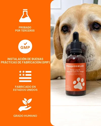 Miniatura 6 de Suplemento de longevidad para perros NAD+ y NMN - Salud de las articulaciones, vitalidad y envejecimiento saludable - Tecnología nanoliposomal