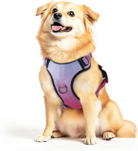 Miniatura 9 de Arnés para perro sin tirones, chaleco reflectante ajustable con clip delantero/trasero, asa de fácil control para perros de tamaño mediano, grande