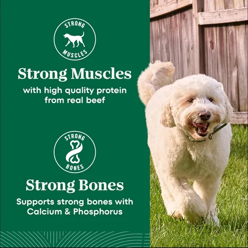 Miniatura 9 de Nutro Natural Choice - Alimento seco para perros, comida para perros adultos, receta de carne seca y arroz integral, 12 libras.
