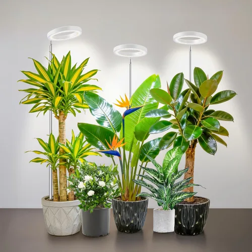 Miniatura 13 de Kullsinss Luces de cultivo para plantas de interior, luces de espectro completo para plantas de cultivo en interiores con temporizador de 6/12/16H