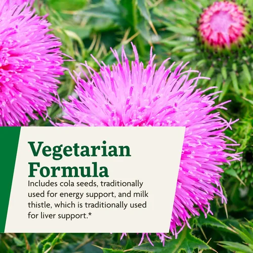 Miniatura 6 de Floradix Epresat Multivitamínico líquido para adultos, suplemento de hierbas, suplemento diario con vitamina A, D, B6, cardo mariano y más, apoya