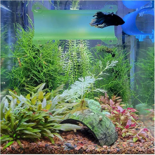 Miniatura 15 de Marca Betta Tunnel (negro opaco)