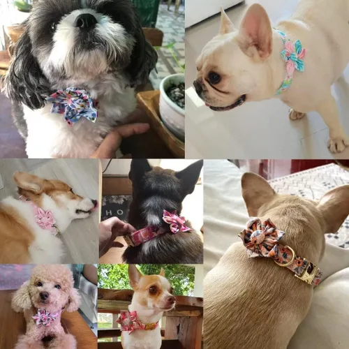 Miniatura 6 de Collares de perro femeninos Beirui con patrones florales vibrantes, collar de perro hembra con flor para caminar, collar ajustable duradero