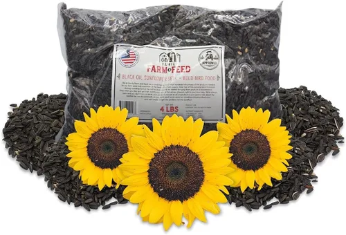 Miniatura 13 de Cuatro estaciones Mezcla de campo Alimento clásico para aves silvestres Pájaro cantor del patio trasero 4 libras Mezcla (Country Mix)